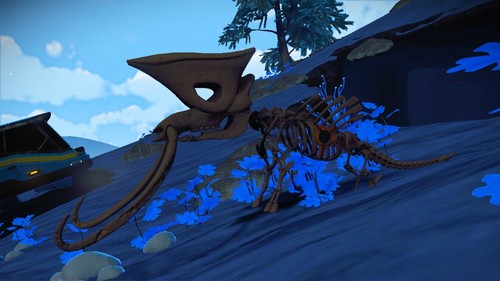 Nms man sky companion - nms,