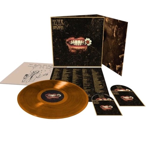 Rare hozier unreal unearth - hozier,