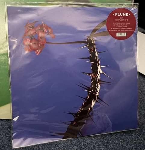 Flume skin companion - skin, ii
